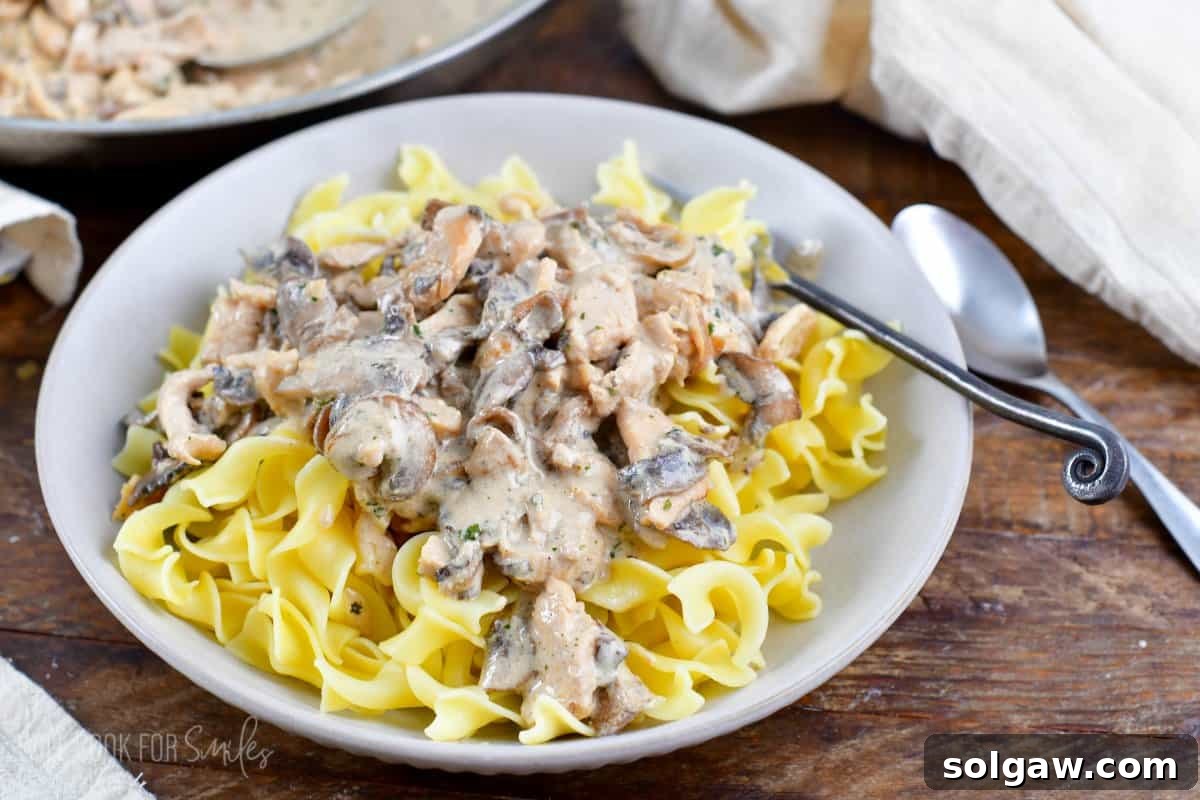 Luscious Weeknight Chicken Stroganoff 7 A generous serving of creamy chicken stroganoff, featuring tender chicken and mushrooms in a rich sauce, spooned over a bed of egg noodles in a classic bowl.