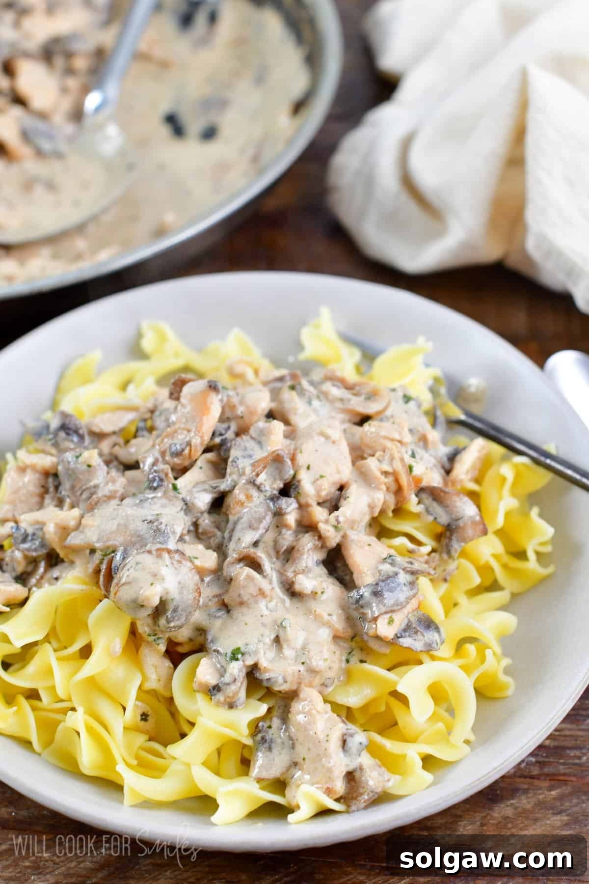 Luscious Weeknight Chicken Stroganoff 9 A close-up of creamy chicken stroganoff served over egg noodles in a grey bowl, with a fork gently pulling some noodles, highlighting the comforting texture of the dish.
