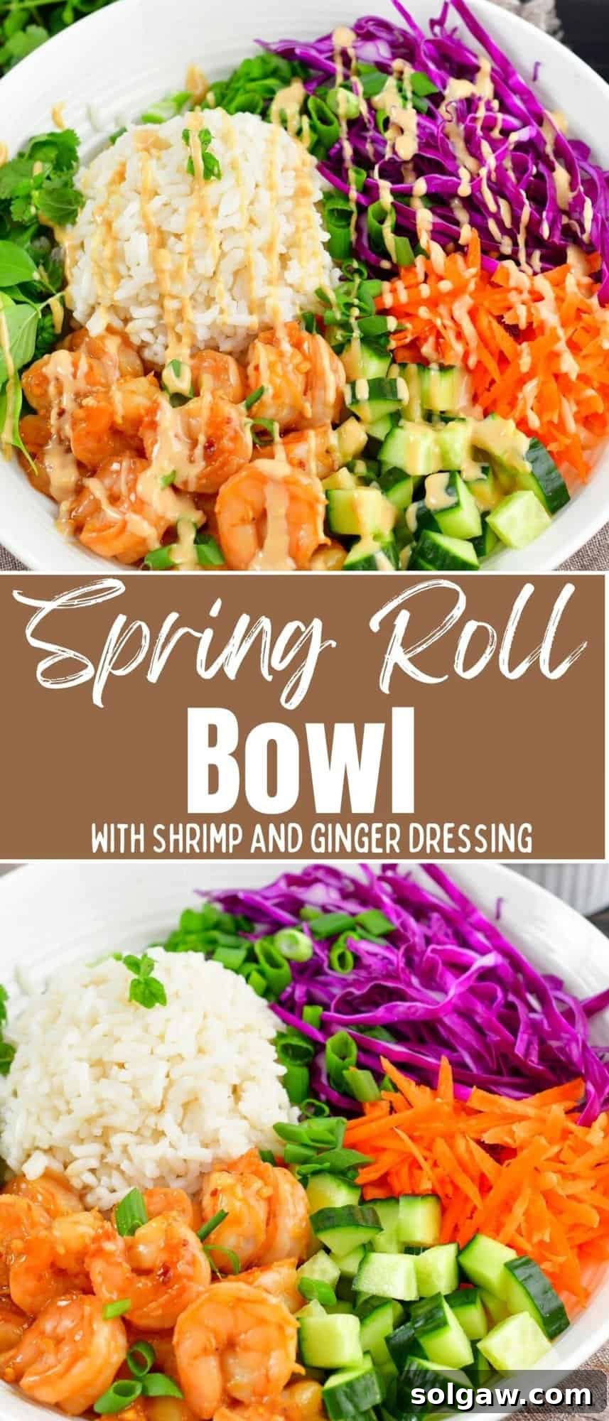 Fresh Spring Roll Bowl 11 A collage of two appetizing close-up photos of the Spring Roll Rice Bowl, emphasizing its fresh ingredients and presentation.