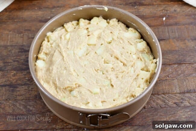 Unbaked cake batter spread evenly in a springform pan, ready for the topping.