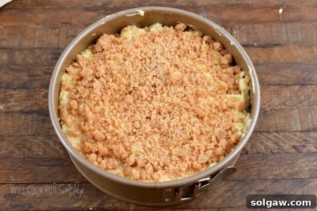 Unbaked cake batter generously topped with streusel in the pan, ready for baking.