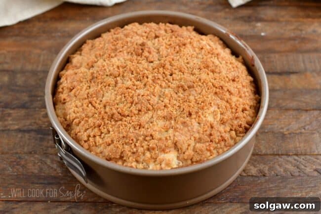 A beautifully baked Irish apple cake, golden brown with a crisp streusel topping, cooling in the springform.