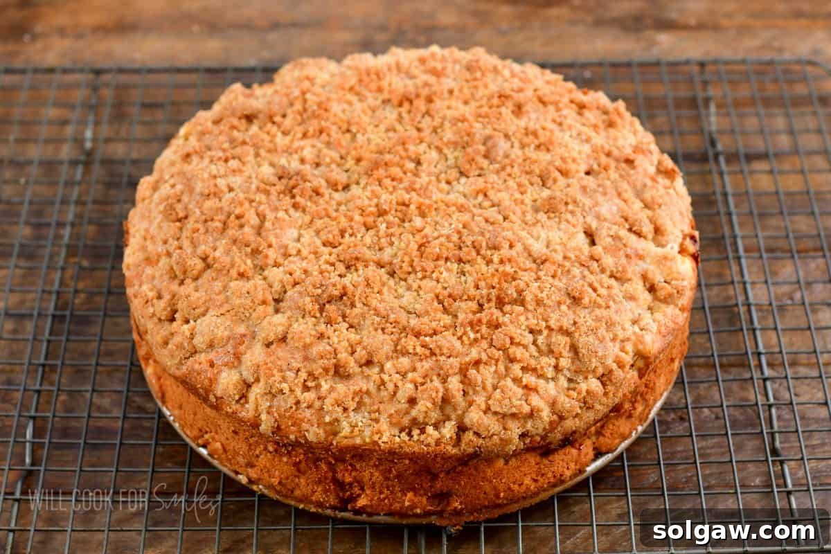 A beautifully golden-brown Irish apple cake, fresh out of the oven, cooling on a wire rack.