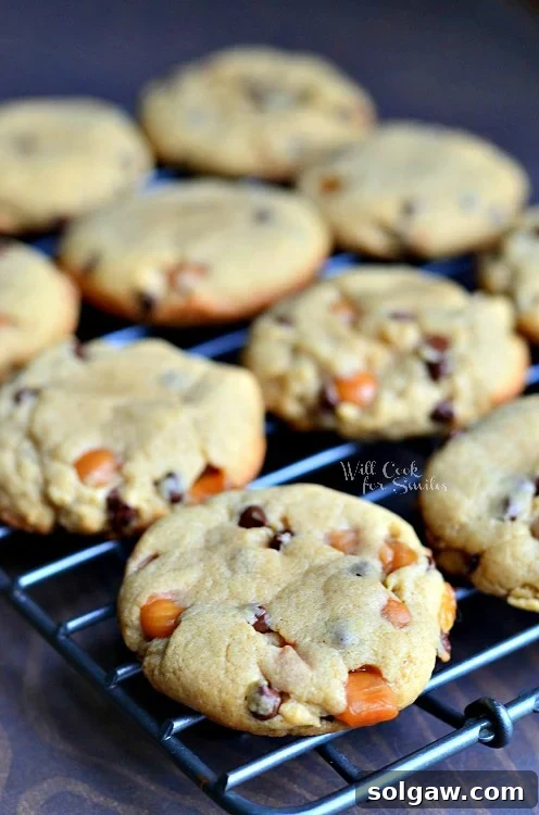 Cotton Candy Cloud Cookies 9 Sumbitches Peanut Butter Chocolate Caramel Cookies on a cooling rack