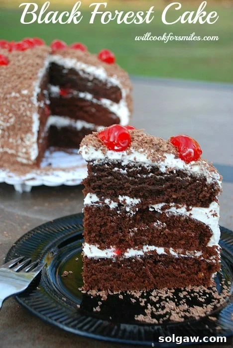 A slice of chocolate cake with white frosting and cherries on top, presented on a black plate.