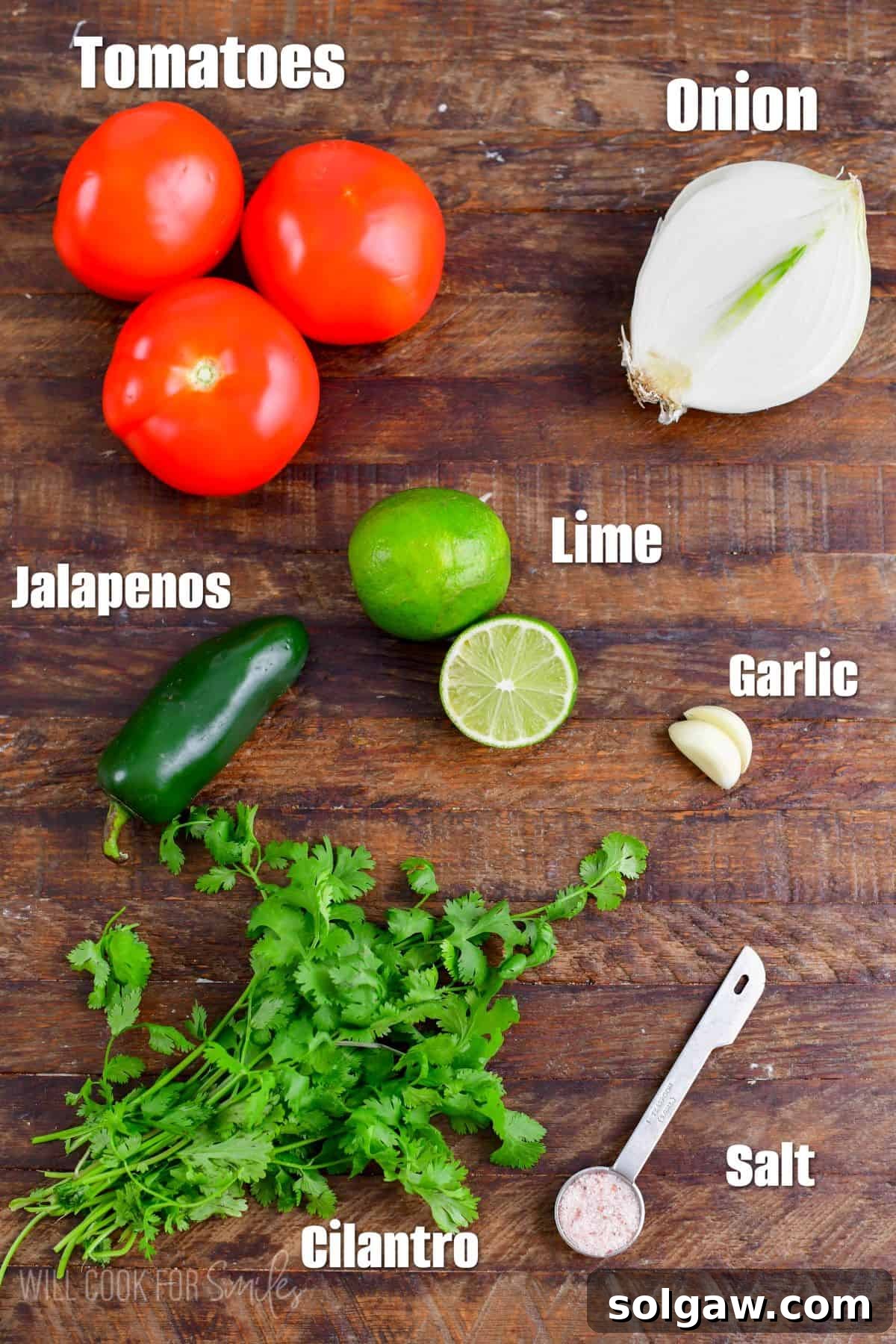 A perfectly arranged display of fresh, labeled ingredients for homemade Pico de Gallo on a rustic wooden surface.