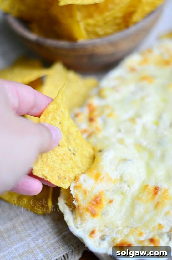 A chip being dipped into the creamy and hot Slow Cooker Chicken Enchilada Verde Dip