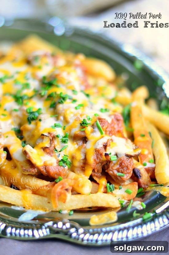 A tantalizing platter of BBQ Pulled Pork Loaded Fries, showing crispy fries, generous pulled pork, and melted cheese.