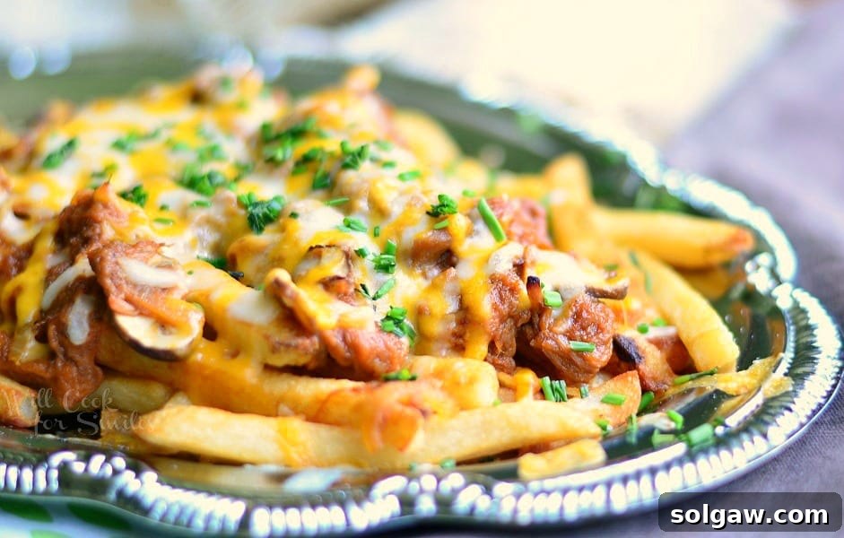 BBQ Pulled Pork Loaded Fries Recipe Image