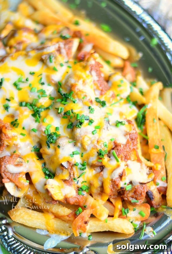 A full platter of Pulled BBQ Pork Loaded Fries, ready to be served and enjoyed by a family.