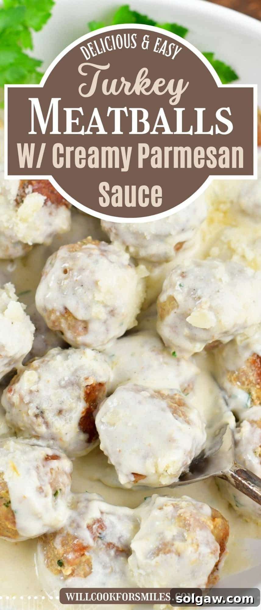 collage of closeup meatball in cream sauce with title.
