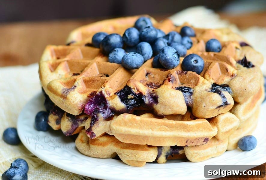 Close up view of round white plate with blueberry waffles and blueberries topping the waffles all on a wood table with tan cloth and blueberries below plate