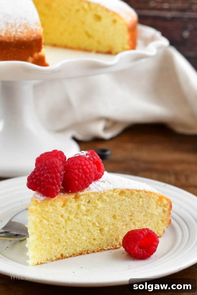 Slice of Irish tea cake on a plate with fresh raspberries and powdered sugar on top, highlighting its soft texture.
