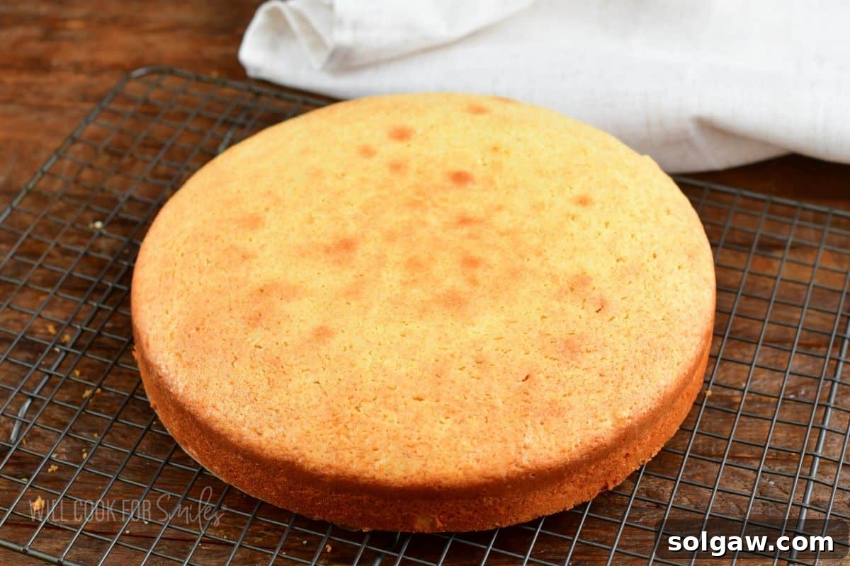 A freshly baked Irish tea cake cooling on a wire rack, golden brown and perfectly risen.