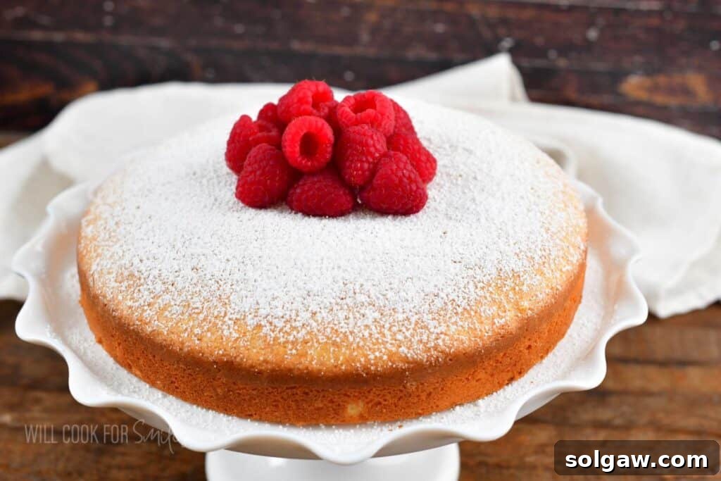 Side view of a sugar-dusted Irish tea cake on a white cake stand, showcasing its elegant simplicity.