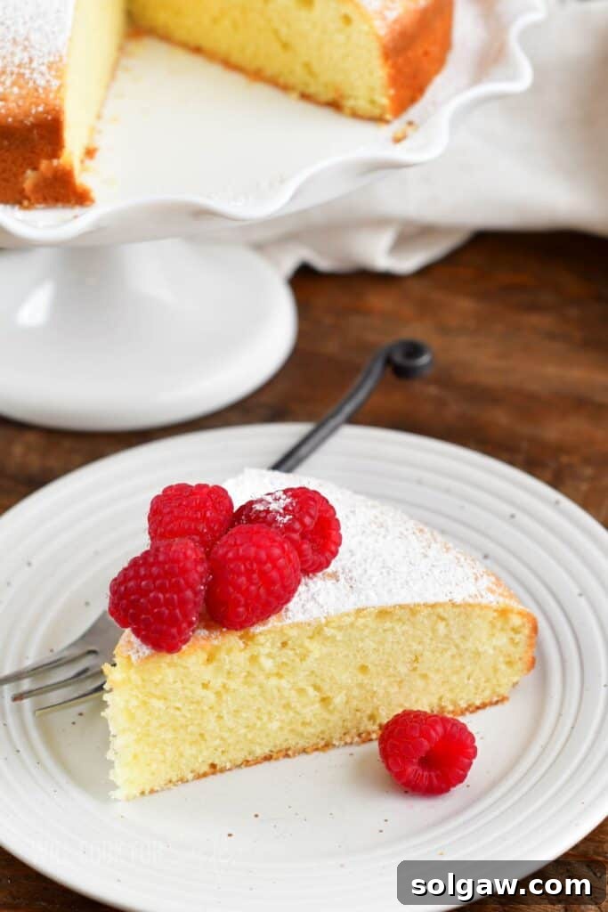 Top view of a slice of Irish tea cake on a plate, garnished with fresh raspberries and powdered sugar.