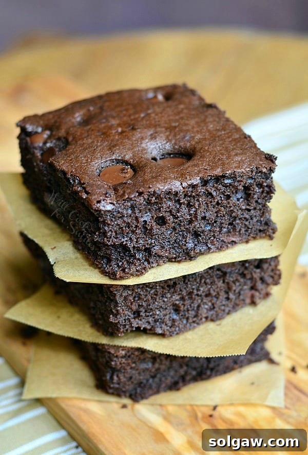 Dark Chocolate Chocolate Chip Brownies 1 from willcookforsmiles.com
