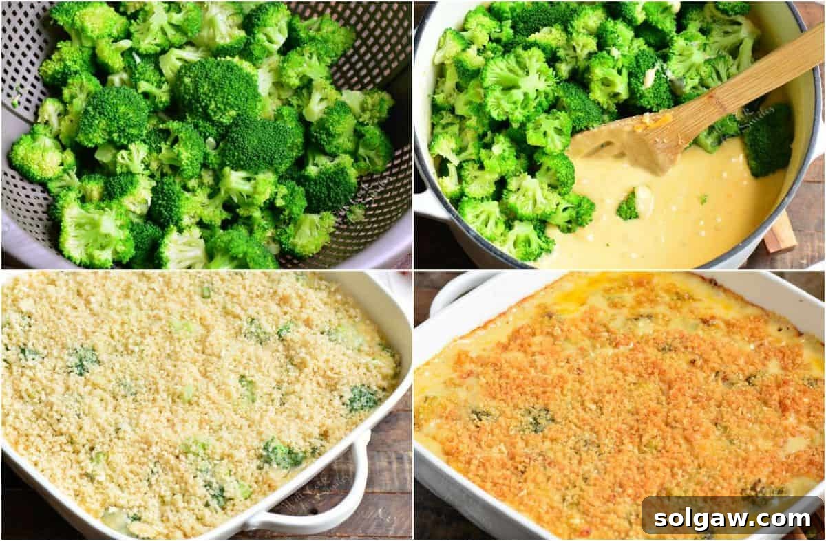 A visual guide showing four stages of preparing broccoli cheese casserole: steamed broccoli, mixing with cheese sauce, pre-baked, and freshly baked.