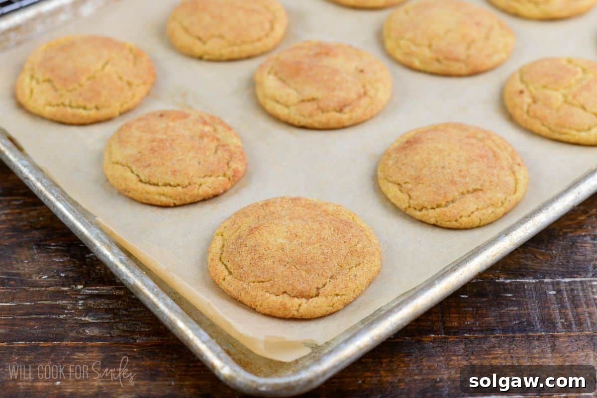 baked cinnamon sugar coated thin crispy and chewy snickerdoodle cookies on baking sheet.