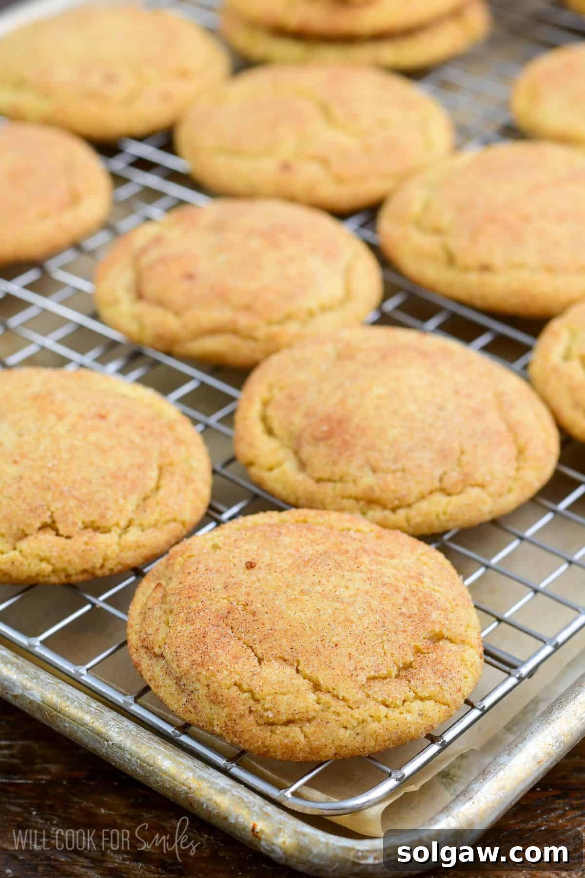 crispy outside and chewy inside brown butter snickerdoodle cookies on the wire rack.