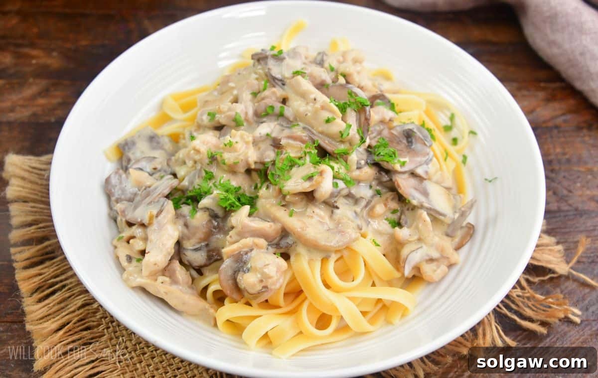 fettuccine topped with creamy restaurant style chicken stroganoff and garnished with parsley.
