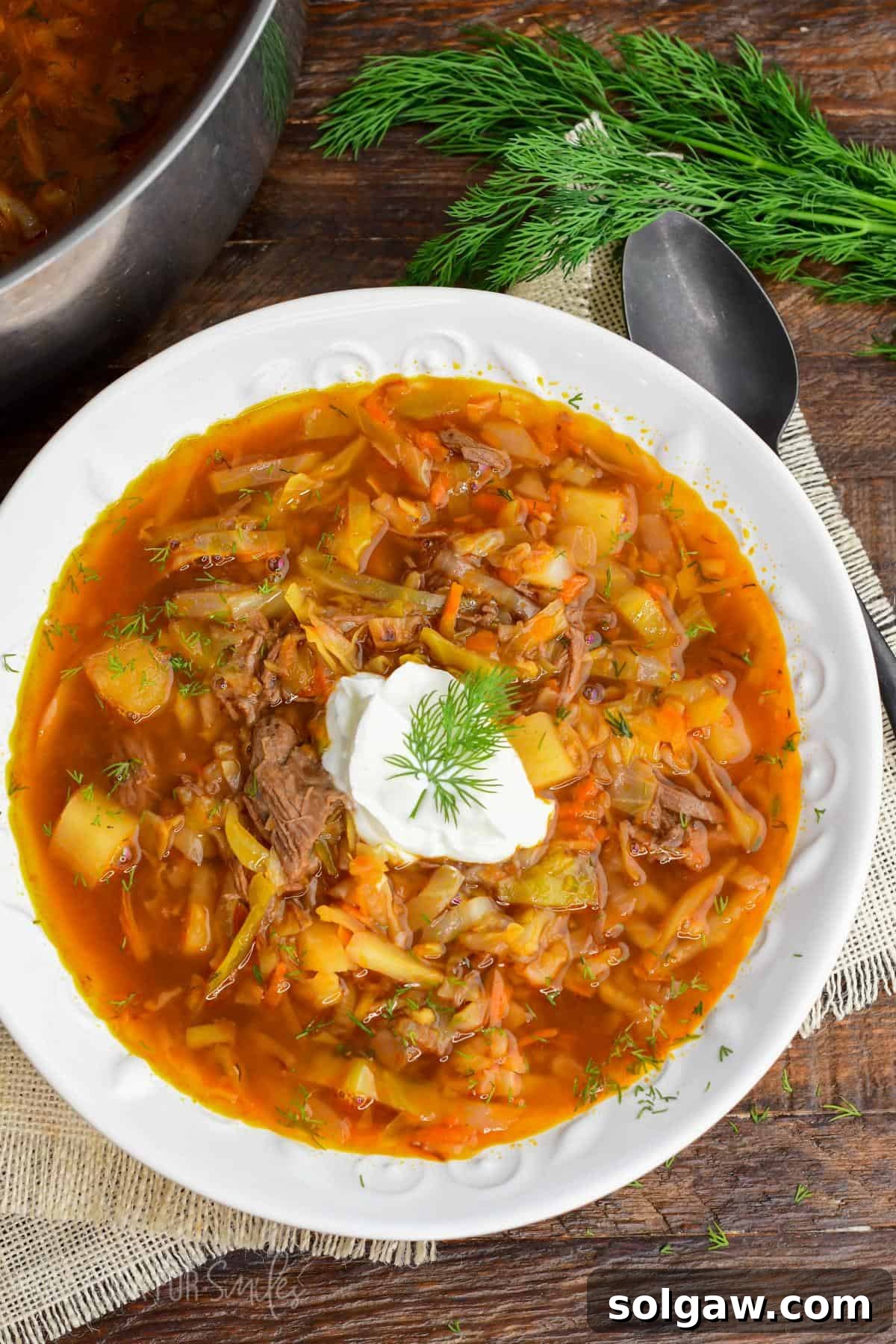 Russian beef and cabbage soup (shchi) in a white bowl with sour cream and dill.