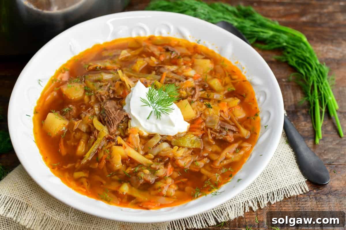 Russian beef and cabbage soup (shchi) in a bowl with a dollop of sour cream and dill.