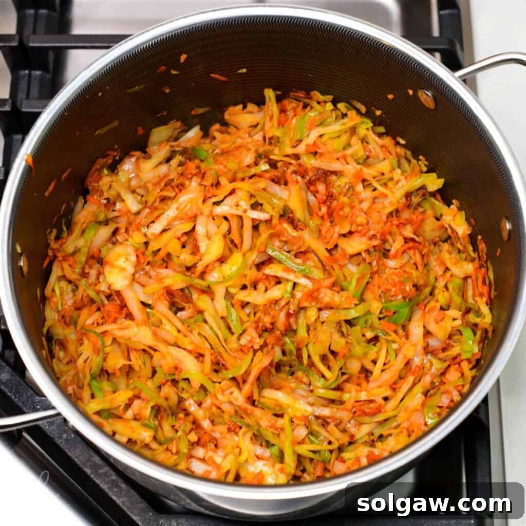 cabbage and vegetables mixed with tomato paste in a pot.