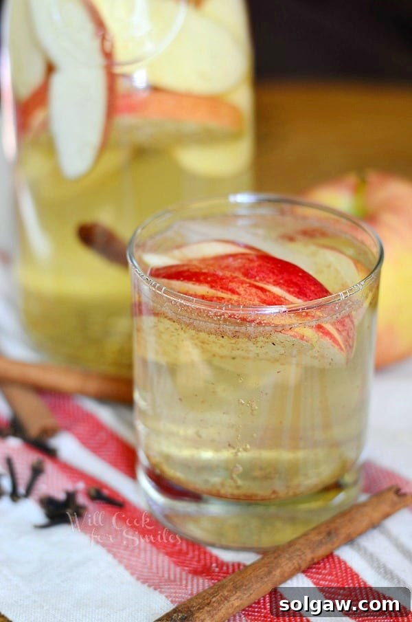 A beautifully styled glass of Spiced Apple Sangria, showcasing the refreshing drink in a festive setting.