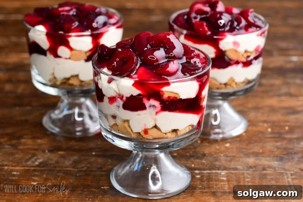 Finished no-bake cherry cheesecake parfaits, showcasing their elegant layers of crushed cookies, smooth cheesecake, and glistening cherry topping in glass cups, ready to be enjoyed.