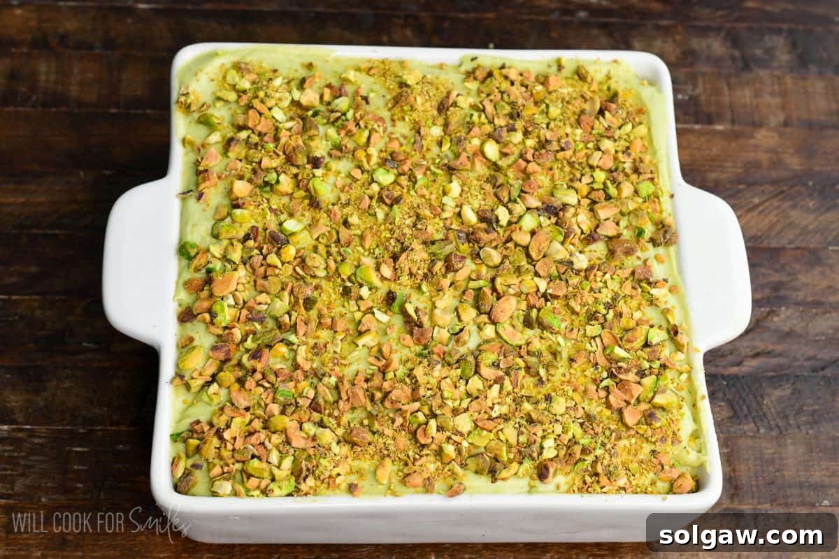 Velvet Pistachio Tiramisu 15 Pistachio tiramisu in a white baking dish topped generously with chopped toasted pistachios, ready to chill or serve.