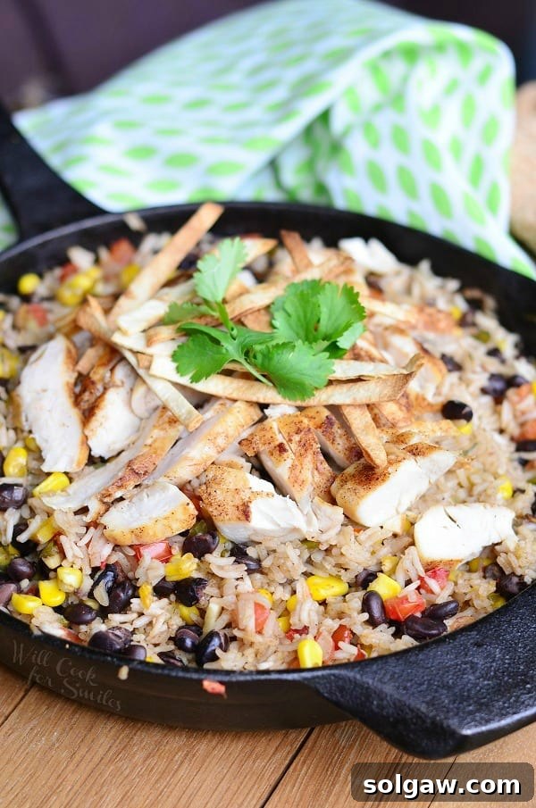 Chicken Tortilla Rice Skillet, an easy one-pan dinner idea