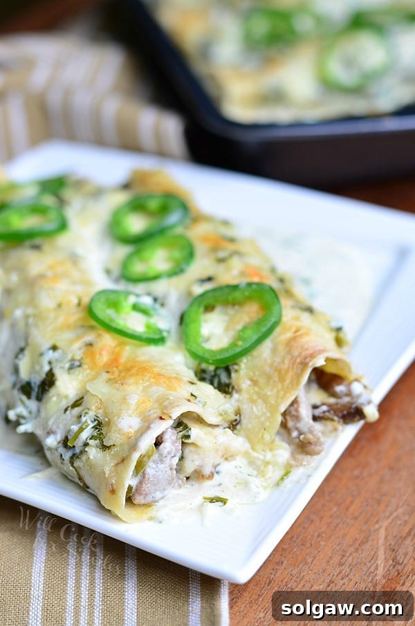 Steak Enchiladas with Jalapeño Cilantro Cream Sauce, a zesty main course