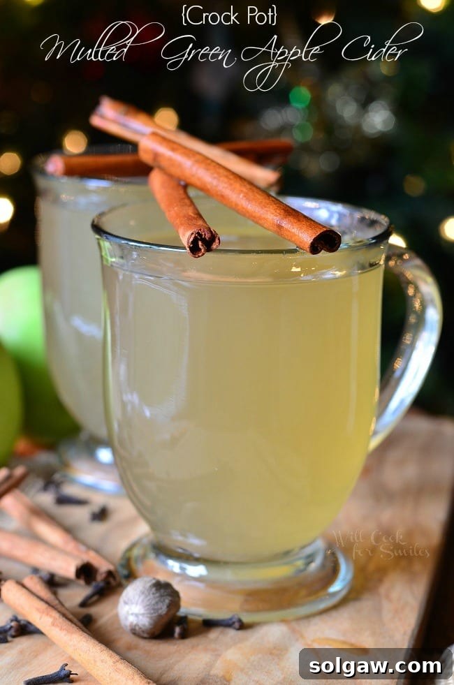 Slow-Cooked Spiced Green Apple Nectar 2 Green Apple Cider in a clear glass with cinnamon sticks over the top