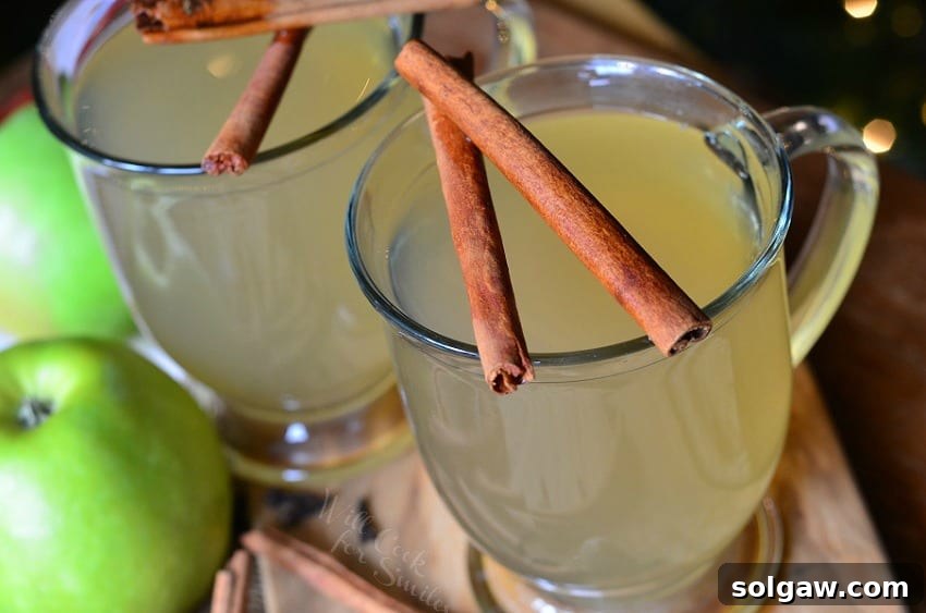Slow-Cooked Spiced Green Apple Nectar 3 Green Apple Cider in a clear glass with cinnamon sticks over the top