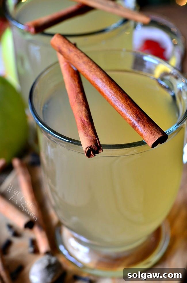 Slow-Cooked Spiced Green Apple Nectar 4 Green Apple Cider in a clear glass with cinnamon sticks over the top