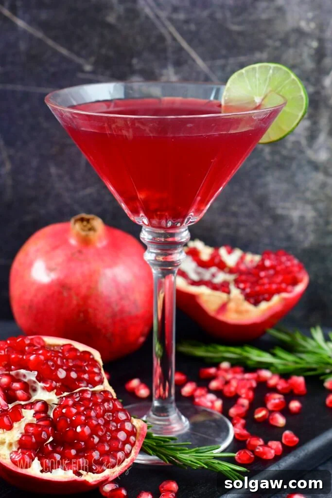 Side view of a vibrant Pomegranate Martini in a tall, elegant glass, garnished with fresh pomegranate seeds.