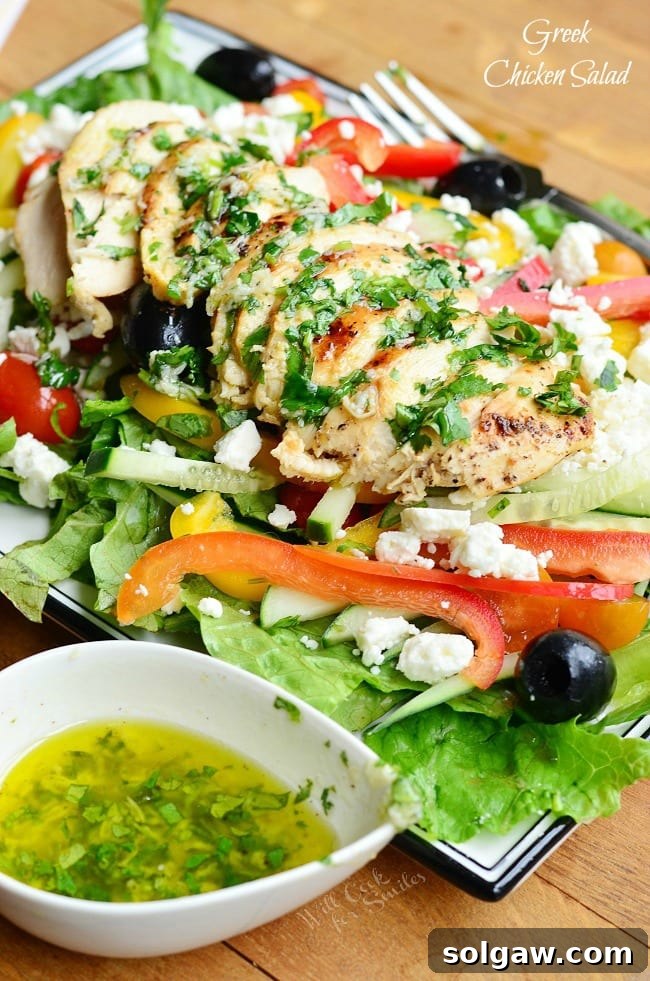Greek Chicken Salad with beautifully sliced, marinated chicken on top, drizzled with vinaigrette, surrounded by fresh vegetables like tomatoes, cucumbers, bell peppers, and feta.