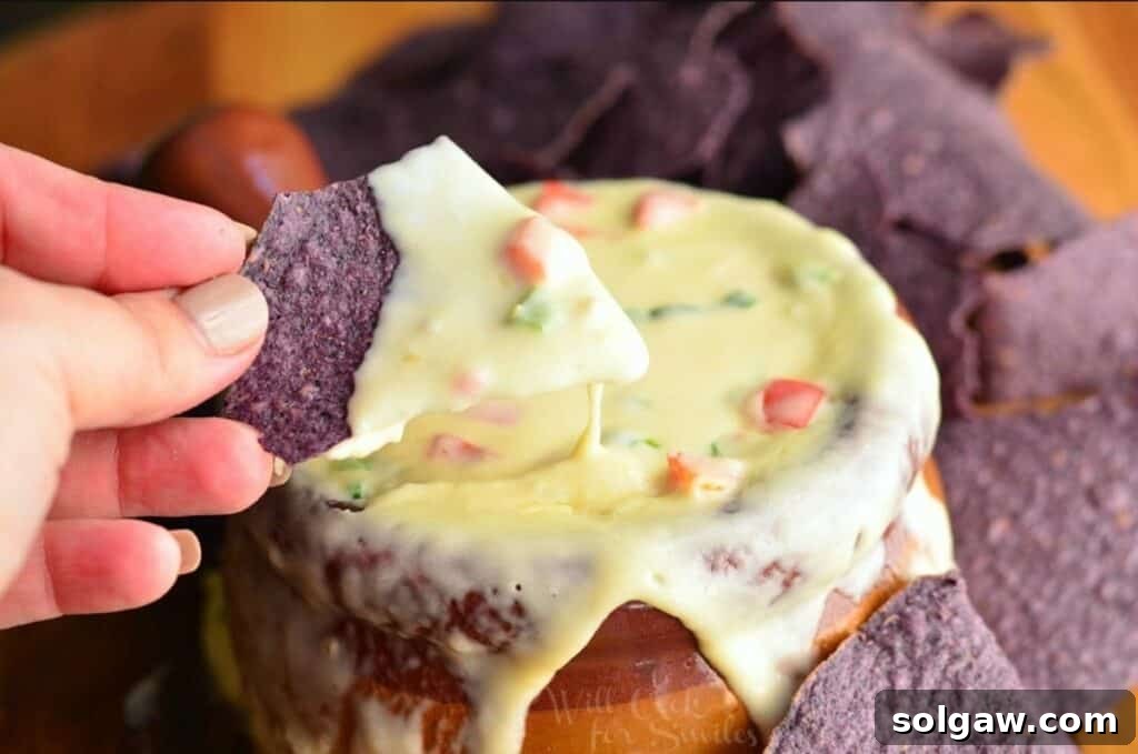 Pristine White Cheese 8 A hand holding a blue tortilla chip laden with creamy white queso dip, hovering over a crock filled with more delicious queso.