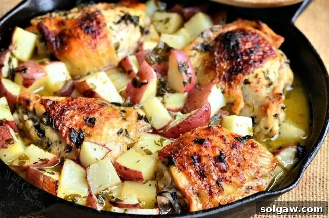 Flavorful One Pan Balsamic Chicken and Roasted Potatoes 4 Horizontal view of a cast iron skillet filled with baked balsamic chicken and potatoes, garnished with fresh herbs.