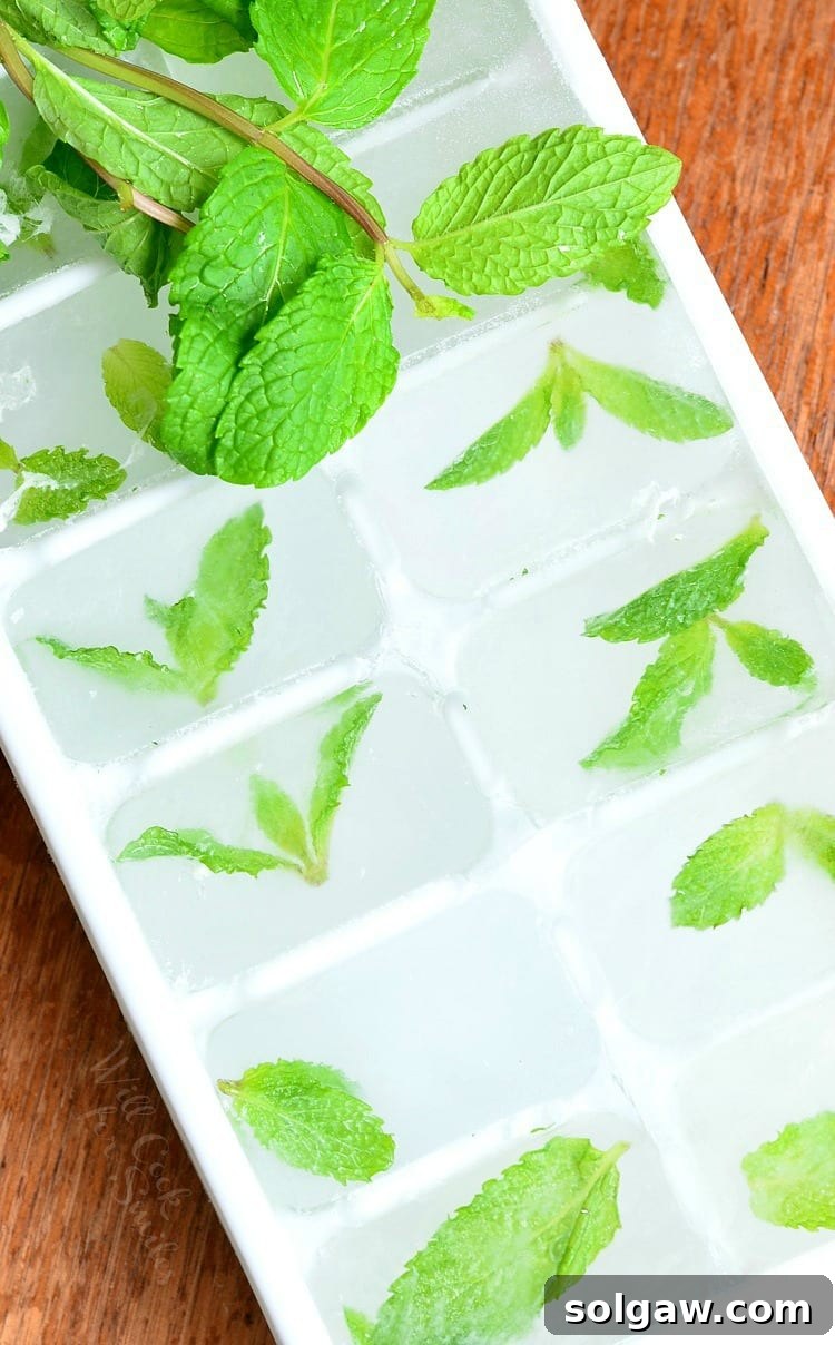 Mint leaves frozen into ice cubes, ready for Honey Mint Green Iced Tea