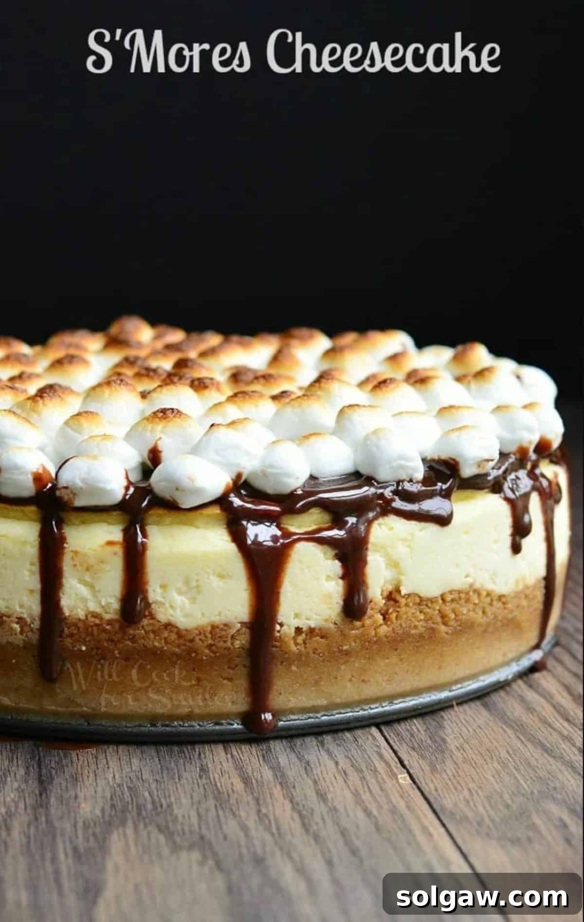 A whole S'mores Cheesecake, elegantly drizzled with chocolate sauce and adorned with toasted marshmallows, ready to be served.