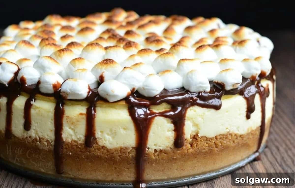 A beautifully baked and topped S'mores Cheesecake, with chocolate and perfectly toasted marshmallows, ready to be enjoyed.