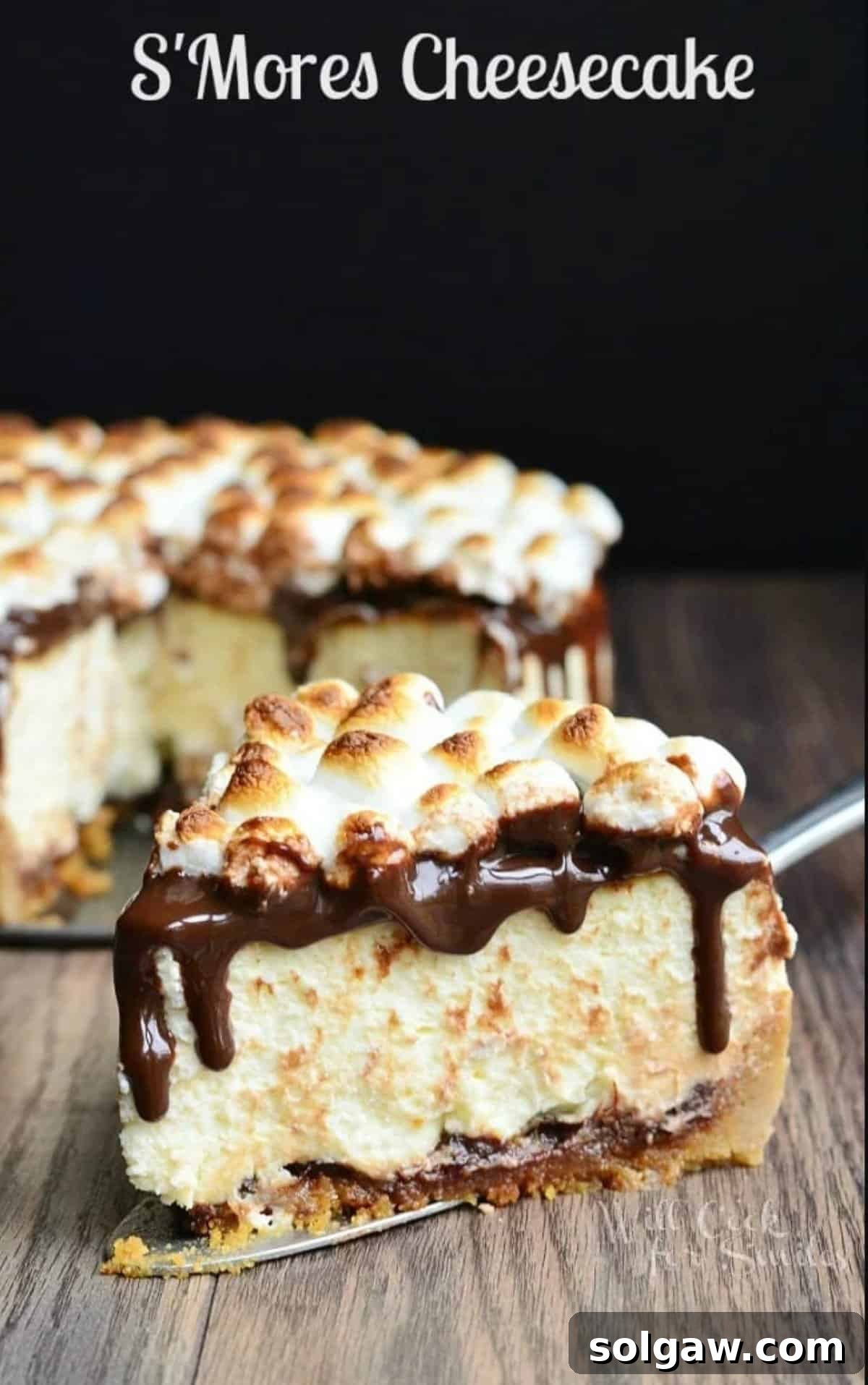 A slice of S'mores Cheesecake perfectly presented on a pie serving spatula, with the full cheesecake visible in the background.