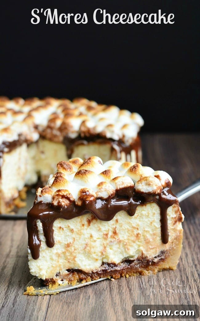 Smores cheesecake on a wooden table with 1 slice on a cake cutter in front of rest of cake