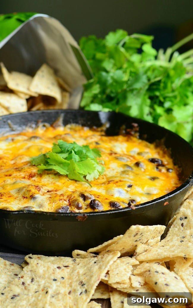 Hot 7 Layer Dip with cheese and black beans showing in a cast iron pan with cilantro on top as garnish and cilantro in the background