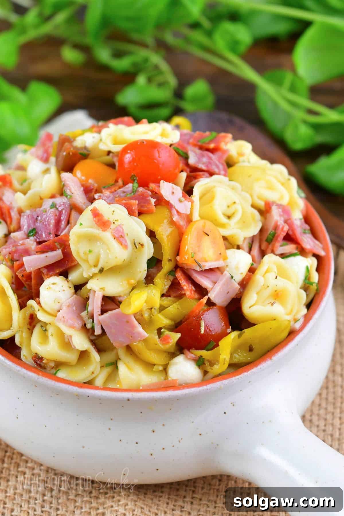 Italian tortellini salad filled in a light ceramic bowl with a handle. A vibrant, hearty pasta salad perfect for picnics and potlucks.