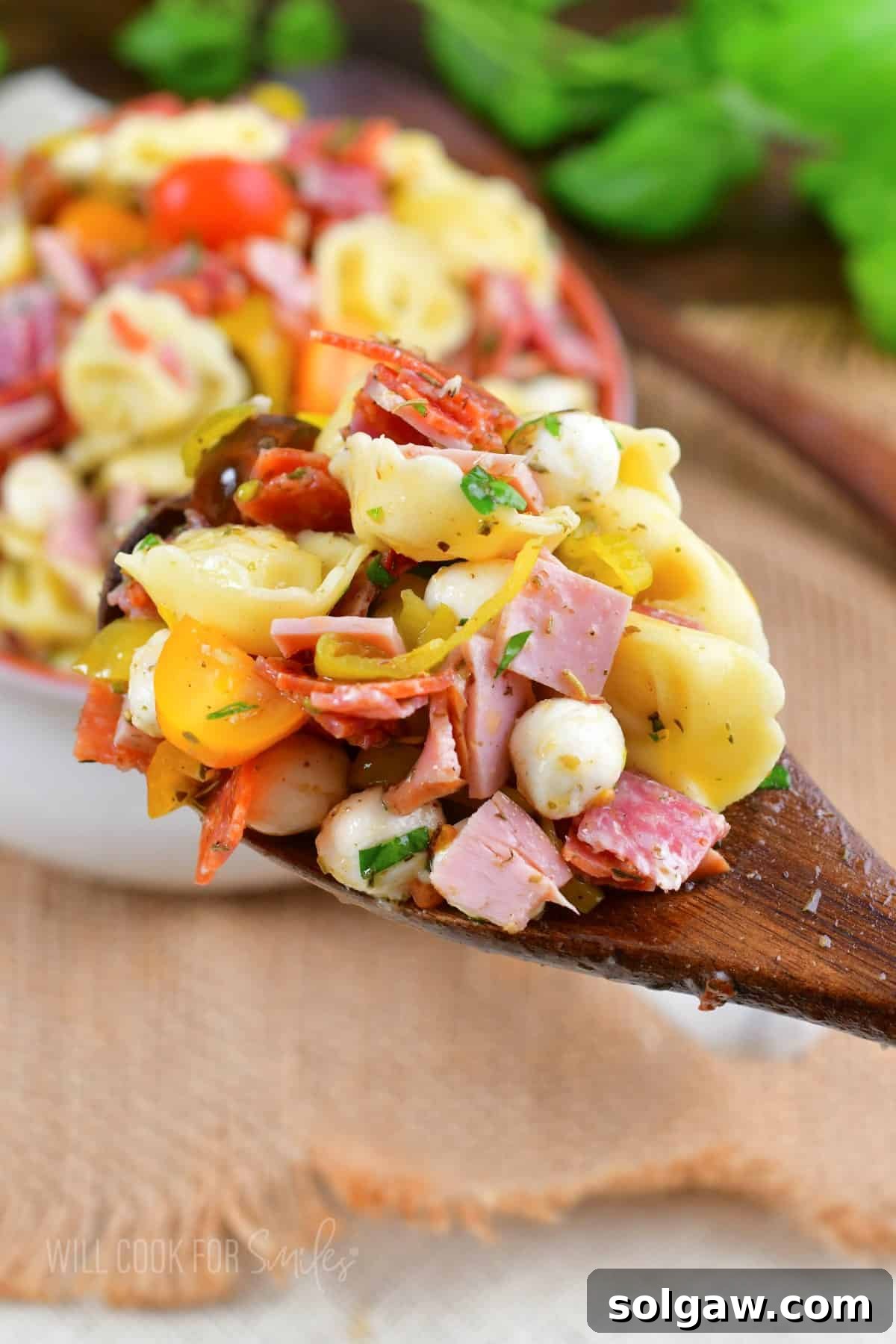 Wooden spoon with scooped Italian tortellini salad on it in front of a bowl. A close-up of the finished tortellini salad.