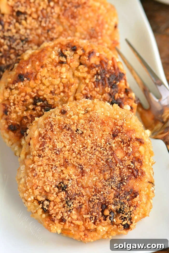 Savory Salmon and Rice Cakes 2 Cooked salmon and rice patties on a plate with a fork, showing their crispy exterior and delicious filling.