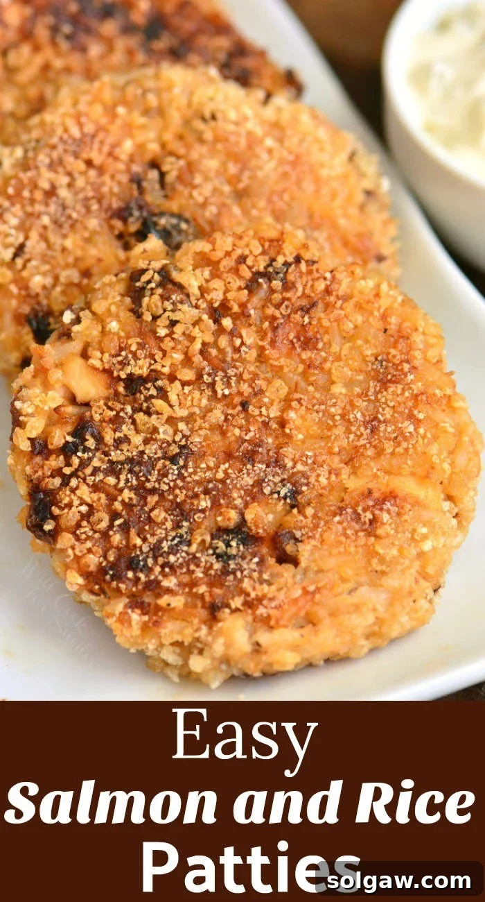 Salmon and Rice Patties